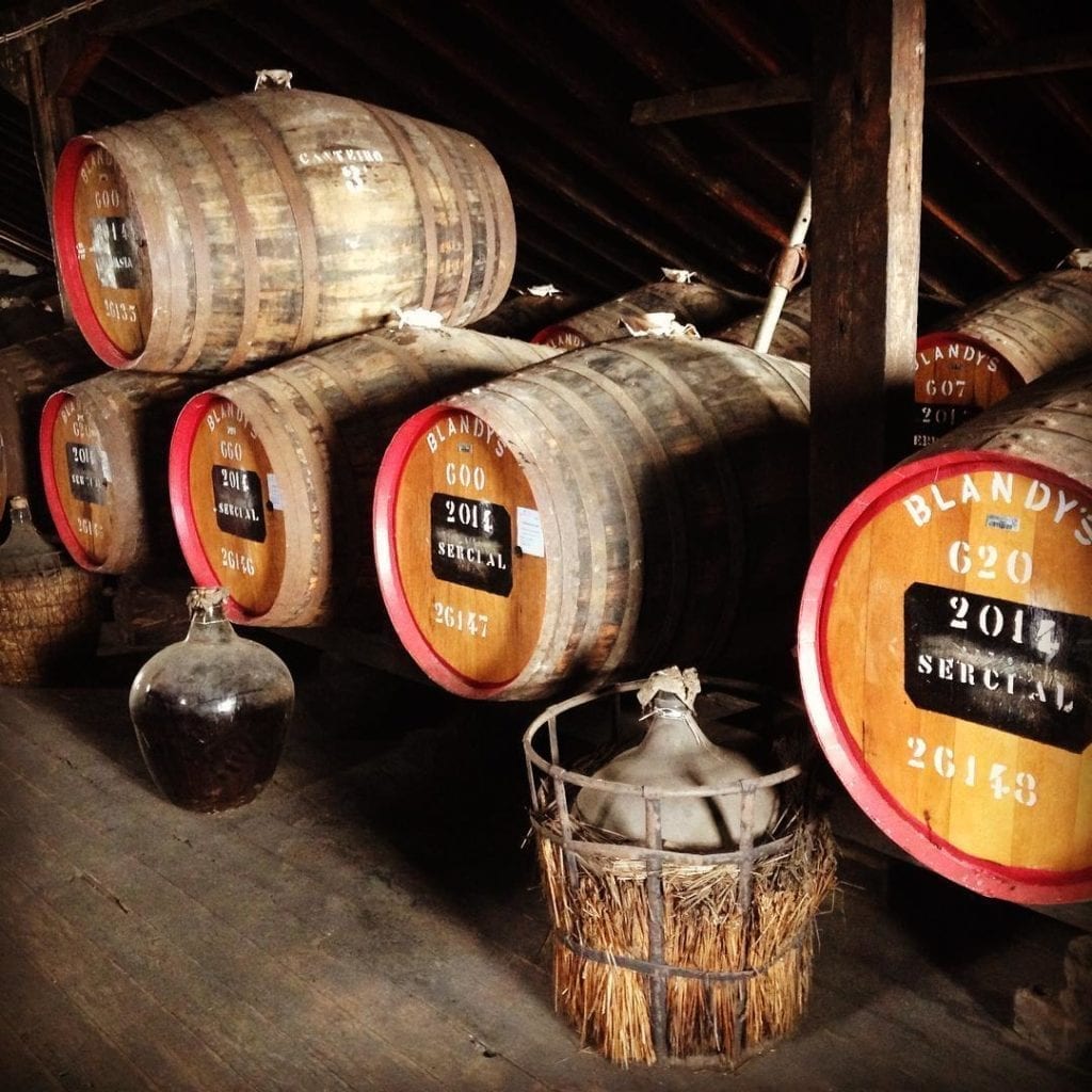 Blandy's Wine Lodge / Winiarnia Blandy - Wino Madera