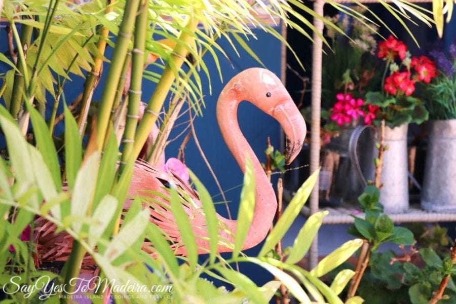 Flamingo - Most instragrammable cafe in Funchal, Portugal