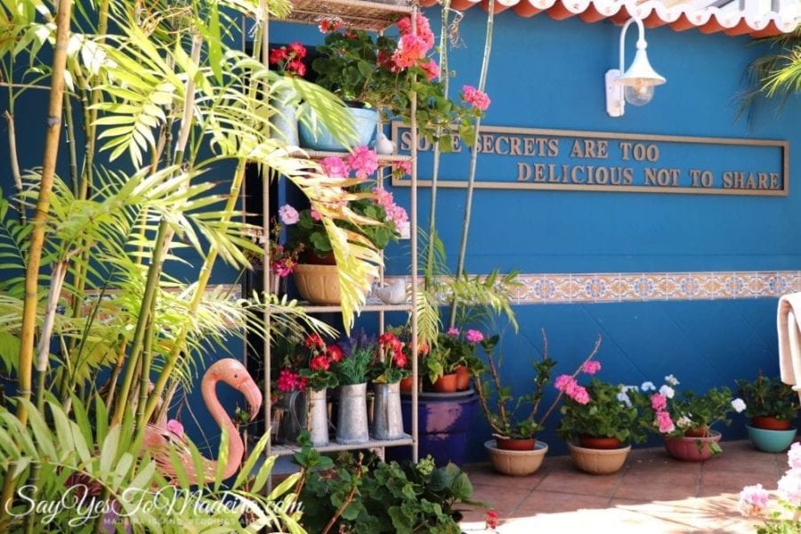 Flamingo interior cafe - Funchal, Portugal