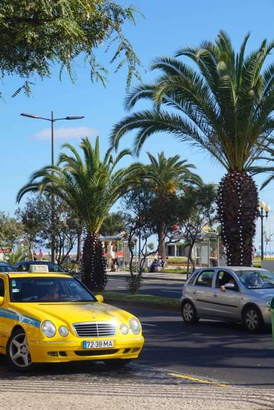 Madeira in December: Christmas and New Year’s Eve in Madeira Island, Portugal - practical info on weather, decorations, food, traditions.. #madeira #madeiraisland