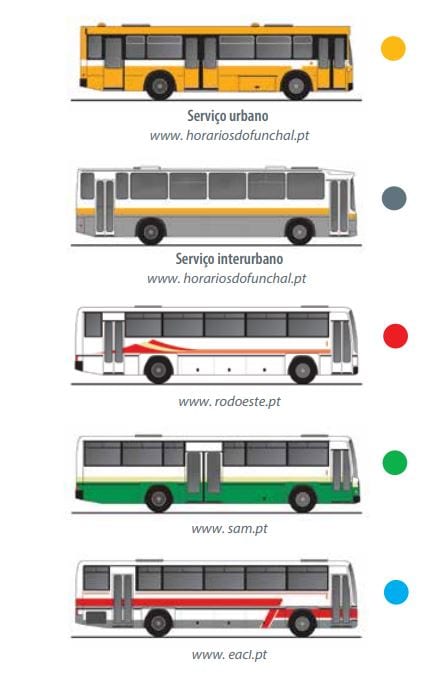 Public transport in Madeira Island - Tranport Publiczny na Maderze - autobusy na Maderze - kolory autobusów na Maderze