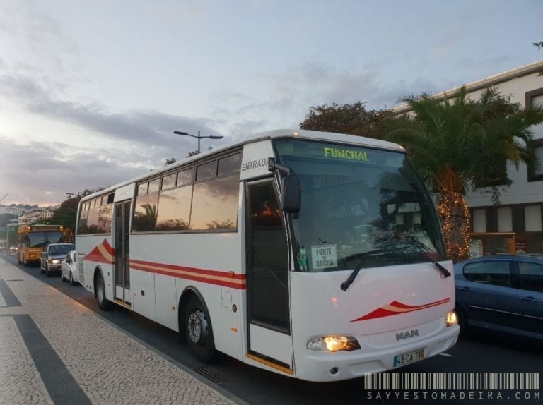 Rodoeste busses in Madeira - public transport in Madeira Island | Autobusy Rodoeste na Maderze - transport publiczny na Maderze