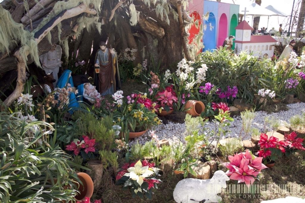 Christmas in Camara de Lobos, Madeira || Boże Narodzenie w Camara de Lobos na Maderze