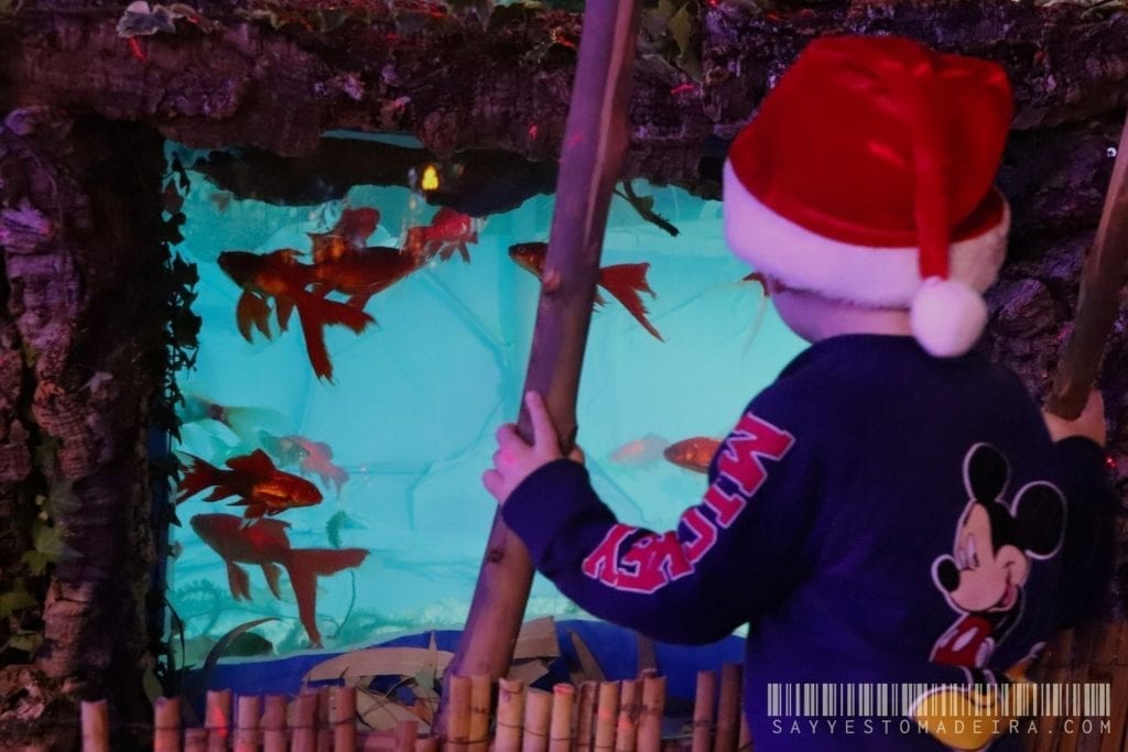 Christmas attractions for kids in Madeira: Nativity Scene with an aquarium in the Funchal Marina | Świąteczne atrakcje dla dzieci na Maderze: Szopka z akwarium przy porcie w Funchal