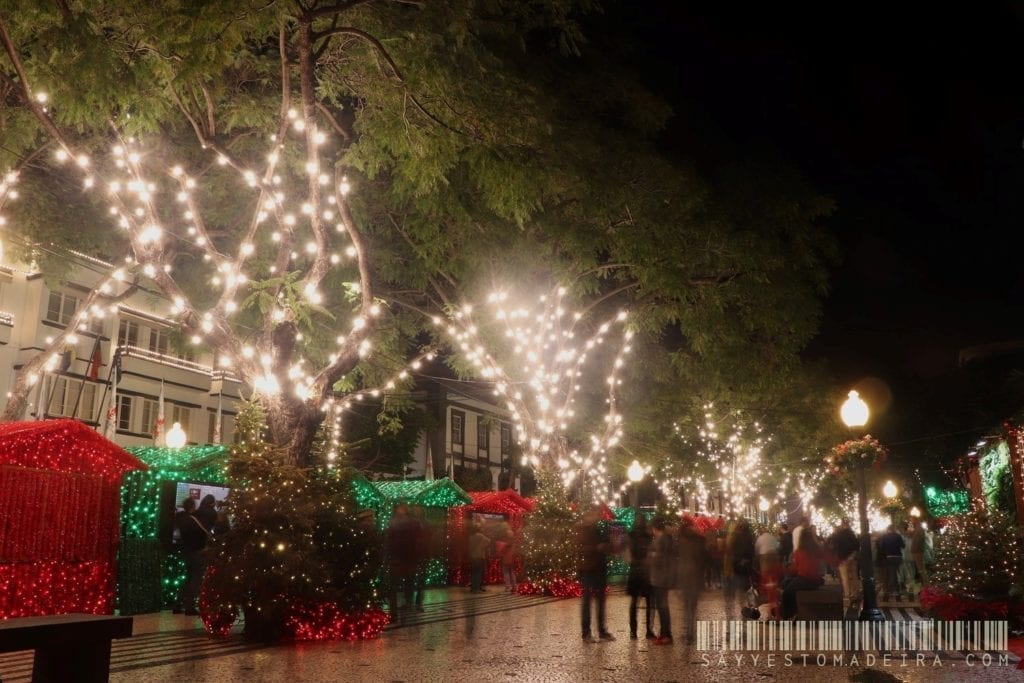 Christmas in Europe - Christmas light in Funchal, Madeira, Portugal | Boże Narodzenie na Maderze, Portugalia