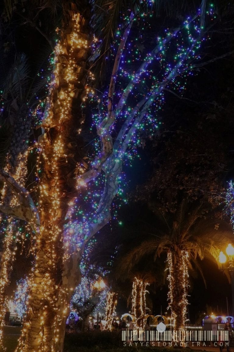Christmas in Europe - Christmas light in Funchal, Madeira, Portugal | Co zobaczyć na Maderze w Boże Narodzenie?
