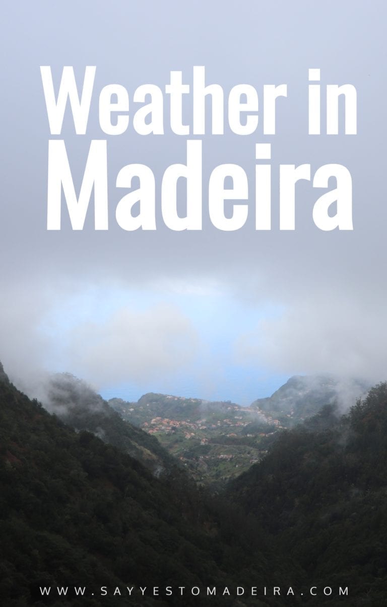 Madeira weather, climate, live webcams, best weather app | Pogoda na Maderze, klimat Madery, pogodowe kamery na Maderze, najlepsza aplikacja pogodowa na Maderze