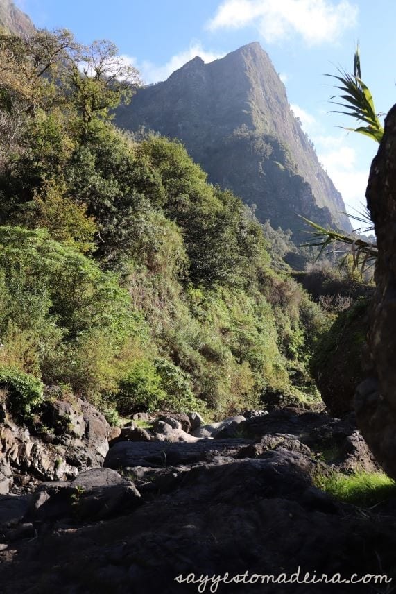 Spectacular places on Madeira Island: Poco dos Chefes. Hidden gems of Madeira Island #madeira #portugal #hiking #mountains Polecane miejsca na Maderze: Źrodło Poco dos Chefes w Dolinie Zakonnic. Co trzeba zobaczyć na Maderze #madera