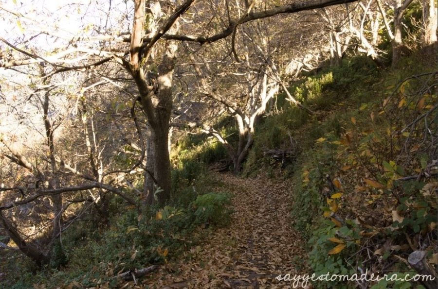 Hiking route from Eira do Serrado to Curral das Freiras village. Hiking in Camara de Lobos. Nicest walks of Madeira Island. #hiking #mountains #madeira Ścieżka z Eira do Serrado do Doliny Zakonninc - Curral das Freiras. Trasy piesze w Dolinie Zakonnic.