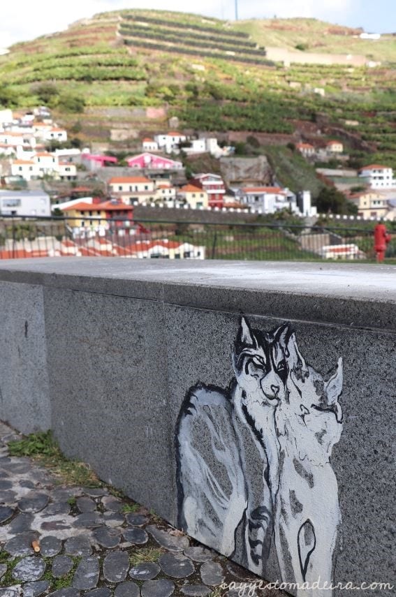 Camara de Lobos, Madeira Island. Recommended places in Camara de Lobos. #madeira #portugal #europetravel #travel #bucketlist Piękne miejsca na Maderze: Wioska rybacka Camara de Lobos. Cabo Girao #madera