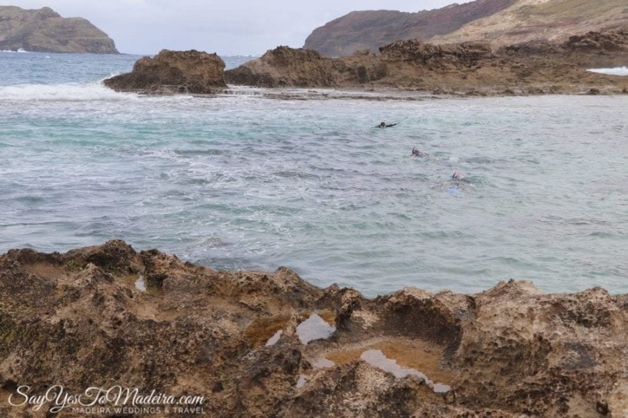 Snorkeling tour Porto Santo Portugal - Porto Santo tours II Wycieczki i rejsy na Porto Santo: nurkowanie z rurką na płytkich wodach