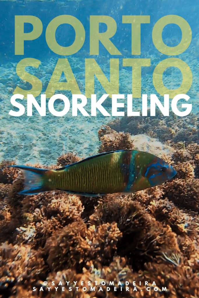 Najlepsze atrakcje na Porto Santo - snorkeling / nurkowanie na Maderze i Porto Santo w Portugalii