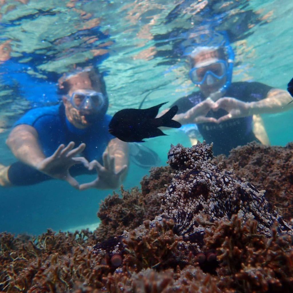 Snorkeling Porto Santo