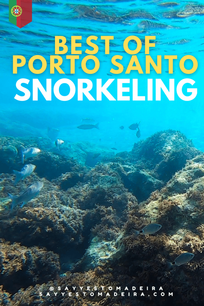 Snorkeling Madeira Islands - Snorkling spots Madeira and Porto Santo, Portugal