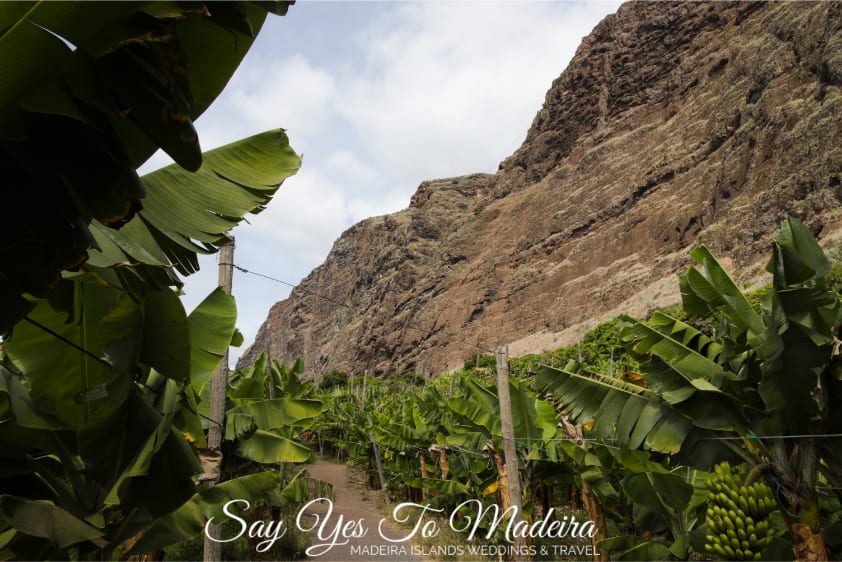 Must See in Madeira - Faja dos Padres beach. Faja dos Padres cliff. Faja dos Padres cable car. Faja dos Padres restaurant