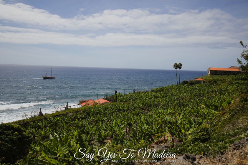 Best of Madeira: Faja dos Padres - Say Yes to Madeira