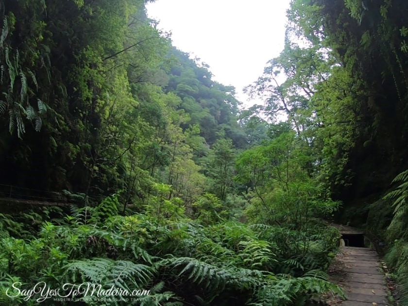 Best rated levada walks Madeira Island: Levada Faja do Rodrigues. Sao Vicente Madeira