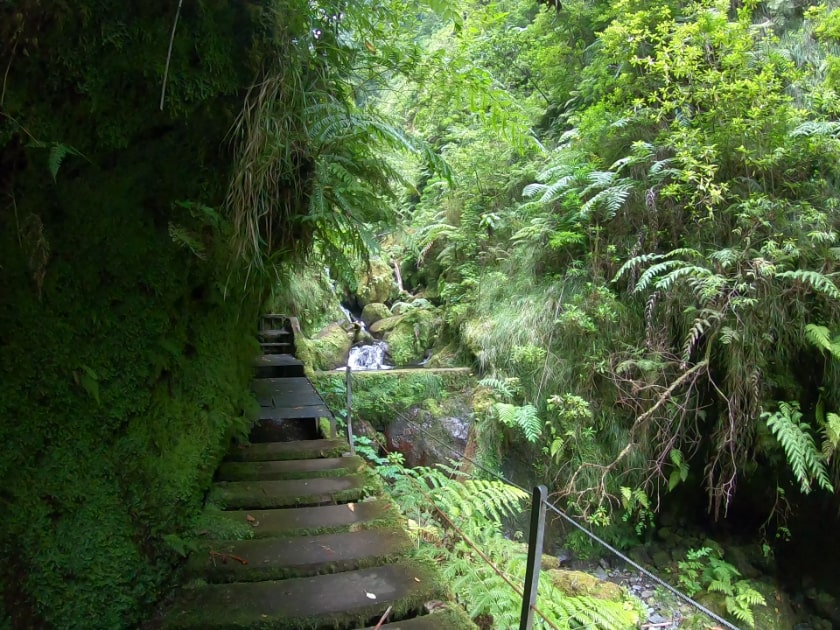 Best levada walks Madeira Island: Levada Faja do Rodrigues. Sao Vicente Madeira. Najpiękniejsze lewady na Maderze. Szlaki na północy Madery