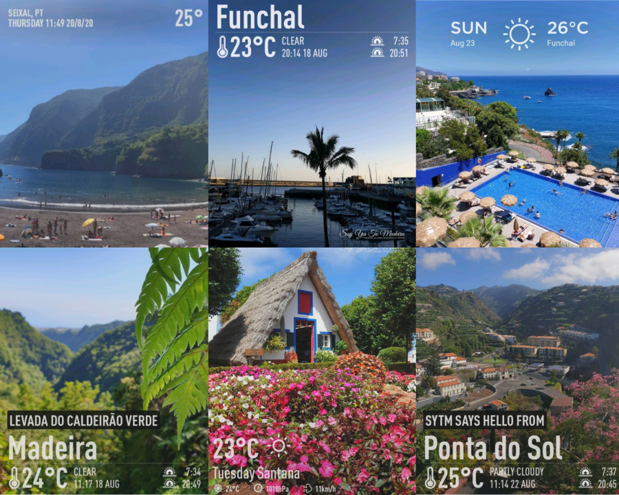 Weather in Madeira in August Say Yes to Madeira